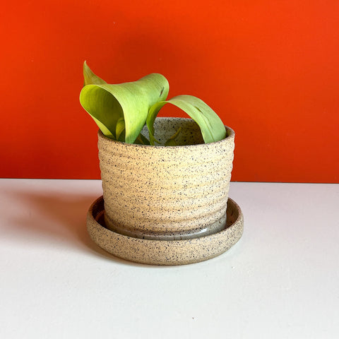 Ridged Planter