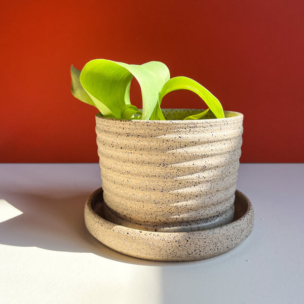 Ridged Planter